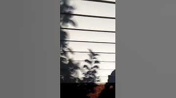 Eclipse Crescent Shadows Post-Totality