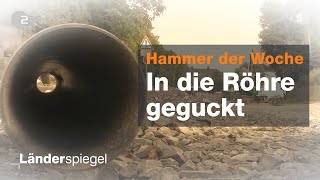 Rechnung verpennt  jetzt müssen alle zahlen!  Hammer der Woche vom 10.08.2019 | ZDF