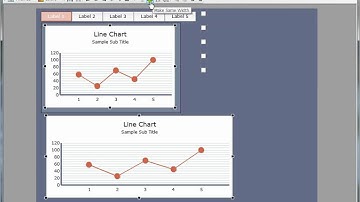 Formatting your Xcelsius components