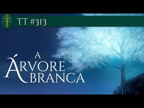 Vídeo: Árvore Branca