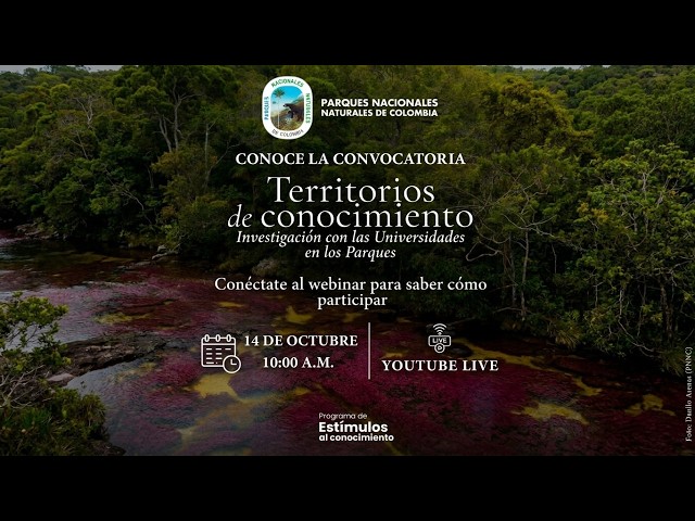 🌿 Convocatoria de Investigación: Territorios de Conocimiento | Conéctate al Webinar Live