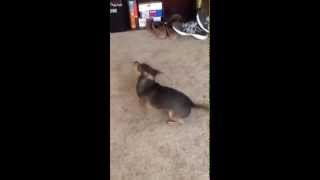 Information Jack's After Bath Dance Guide