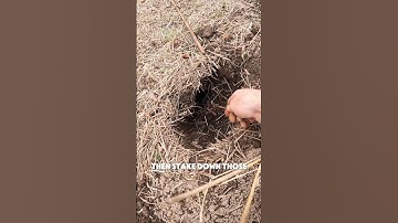 Man vs Gophers. How to catch a pocket gopher and make money doing it. #trapping #hunting #outdoors
