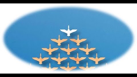 SUY NIỆM - “NHƯ GIOAN ĐÃ DẠY MÔN ĐỆ ÔNG” − Lm. Giuse Nguyễn Trọng Sơn