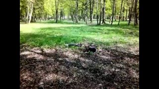 Гав гав!!!супер собака!!!СМОТРЕТЬ ВСЕМ!!! Гав гав!!!супер собака!!!СМОТРЕТЬ ВСЕМ!!!