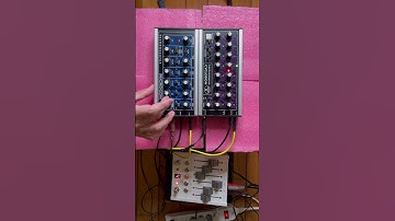 9/26/23 Technosaurus Cyclodon sequences Microcon + CXM 1978 (yam leaves)