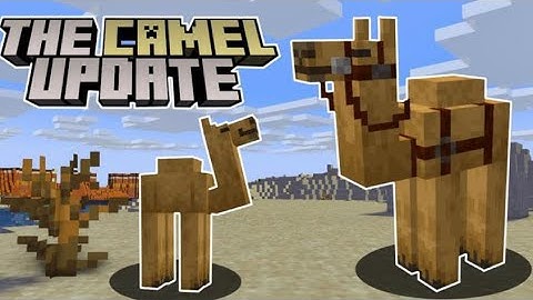 Minecraft 1.20 addon (CAMELS!)