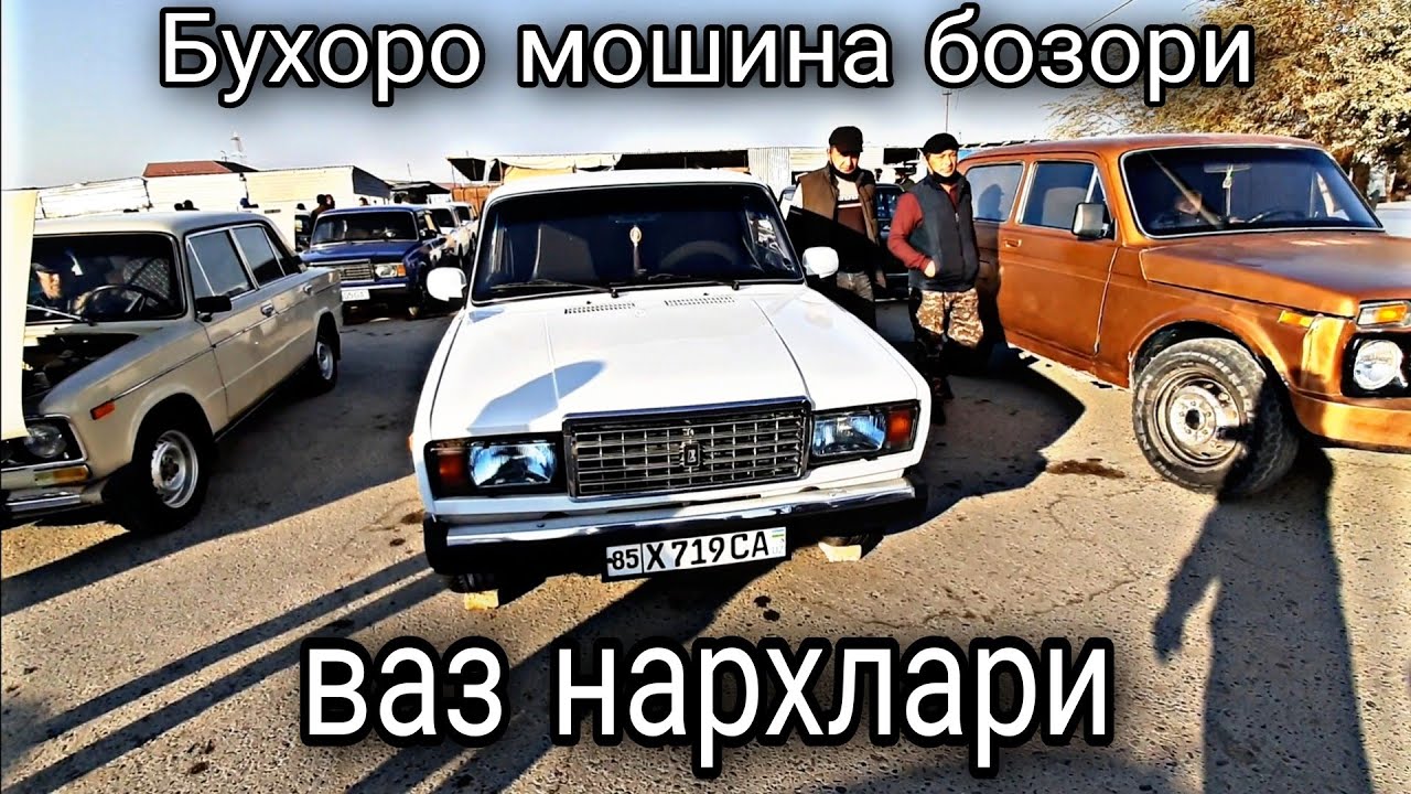 Газель нархлари узбекистонда