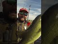 Huge bass caught out of a kayak  #bassfishing #kayakbassfishing #fishing #outdoors #bassmaster