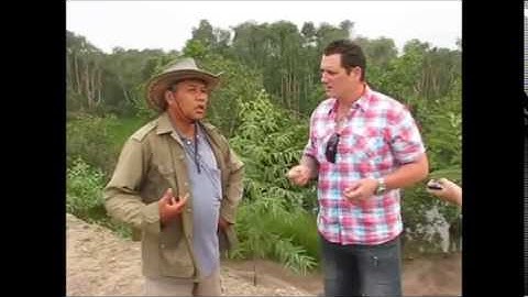 Blog 4   Activity 14 15   Spatial Dimension   Where, Why and Vietnam