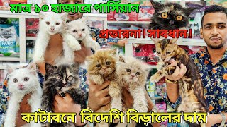 বিড়াল নিয়ে প্রতারনা ! সাবধান ! Katabon Animal Market BD| Persian Cat Price in BD | কাটাবনে বিড়াল