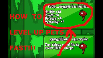 Helmet Heroes: How to level up pets easily!!! Marp Tutorial