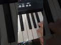 Hora #music #romania #piano #pianocover #acordeon