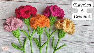 Tutorial Claveles tejidos a Crochet FácilMayelin Ros