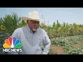 California Drought: Farmers Looking For A Lifeline
