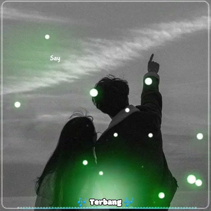 Ku ingin terbang bersamamu _ The Fly _ Terbang _ story WhatsApp