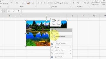 How to Insert Picture & Auto Resize with Excel Cell