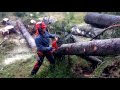 Chainsaw Husqvarna 560 XP