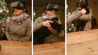 Mum Grabs Dogs While Using Vr Headset