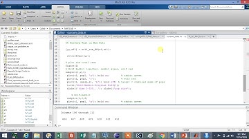 ENGI 300 MATLAB Simulation of Neural Network predator prey systems