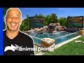 Brett Builds Massive Dream Pond in His Backyard | Tanked