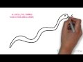 How to Draw a snake (for Kids) / Как нарисовать змею (Для детей)