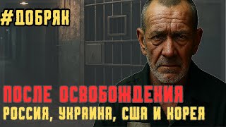 Жизнь после тюрьмы: Россия, Украина, США и Корея — правда без прикрас