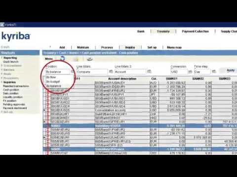 Kyriba Treasury Management System demo