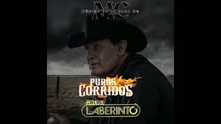 1 Hora De Puros Corridos De Caballos De Grupo Laberinto 🐎