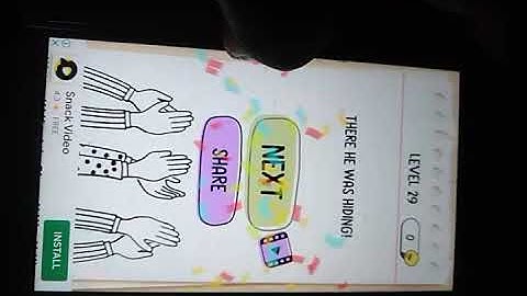 Brain test level 29 which cat is on the right?