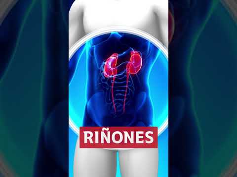 Video: 3 formas de cuidar sus riñones