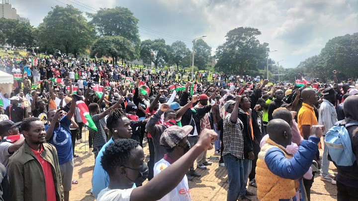 LIVE; Gen Z turn Up at Uhuru Park for the Memorial Concert for victims of Police brutality!
