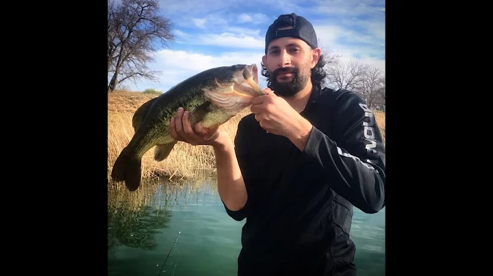 Big pond filled with big bass