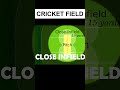 CRICKET FIELD STRUCTURE #shorts #cricket