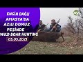 WILD BOAR HUNTING ENGİN DAĞLI İLE DAĞLI DAĞLARDA MERCİMEK KÖYÜ DOMUZ AVI