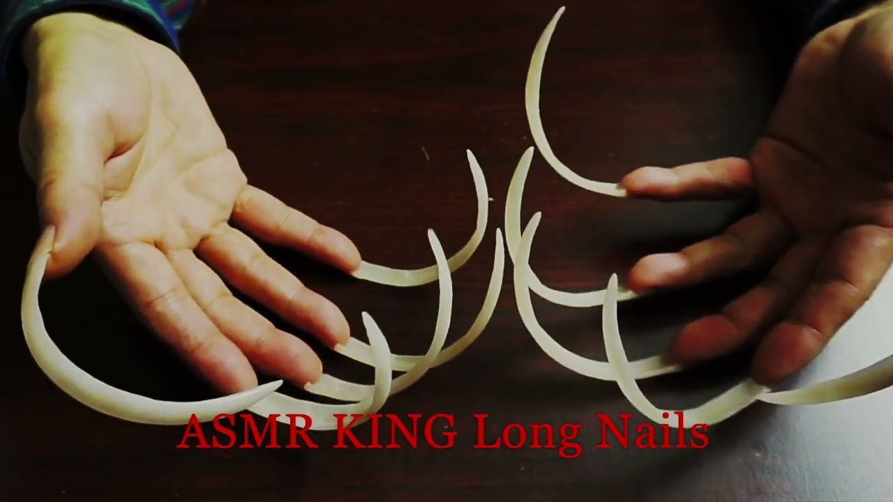 ASMR 👑 Satisfying Tracing Tapping Sounds [No Talking]