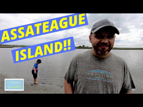 Video: De Vilda Ponnyerna Av Chincoteague - Assateague Island-ponnyer - Daglig Veterinär