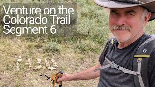 Venture on Segment 6 of the Colorado Trail, July, 2023