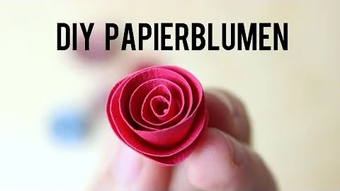 Welches Papier für Papierblumen?