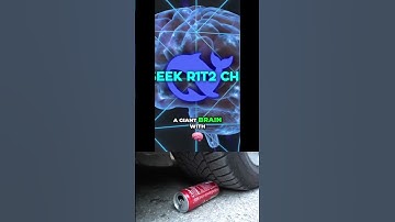 DeepSeek “Chimera” Just Changed Everything – AI Evolution Begins! 😱