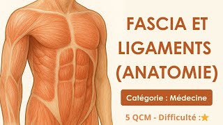 Fascia et ligaments (anatomie)
