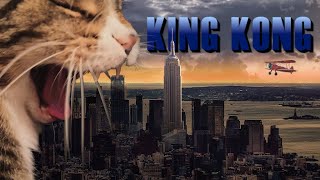 King Kong • with a Cat