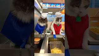 Cats work at fast food restaurant but mess up order