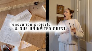 renovation projects & an UNINVITED GUEST!!!  | XO, MaCenna Vlogs