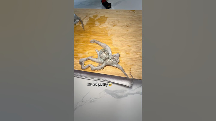 Buying Octopus