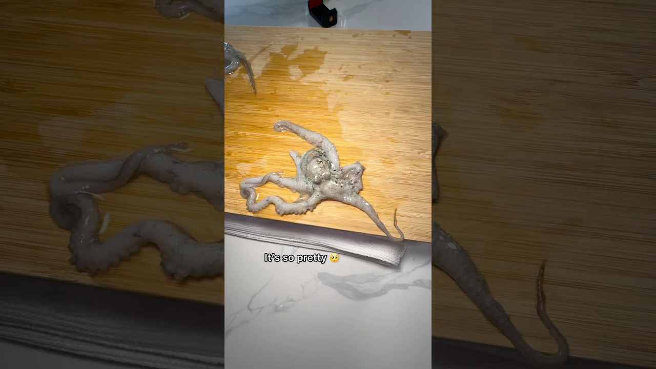 Покупка осьминога