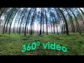 VR 360 | My Secret Relax Spot In The Forest | Look Around In Max Resolution | GoPro MAX