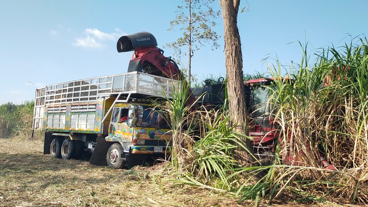 เจองานยากเข้าแล้วทีพีเอคอนสตรัคชั่น