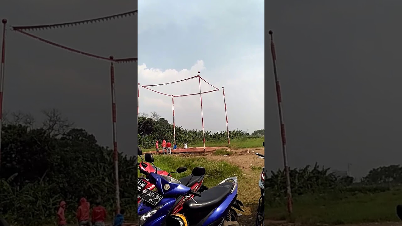 Merpati kolong 