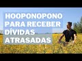 Ho'oponopono para receber dívidas atrasadas